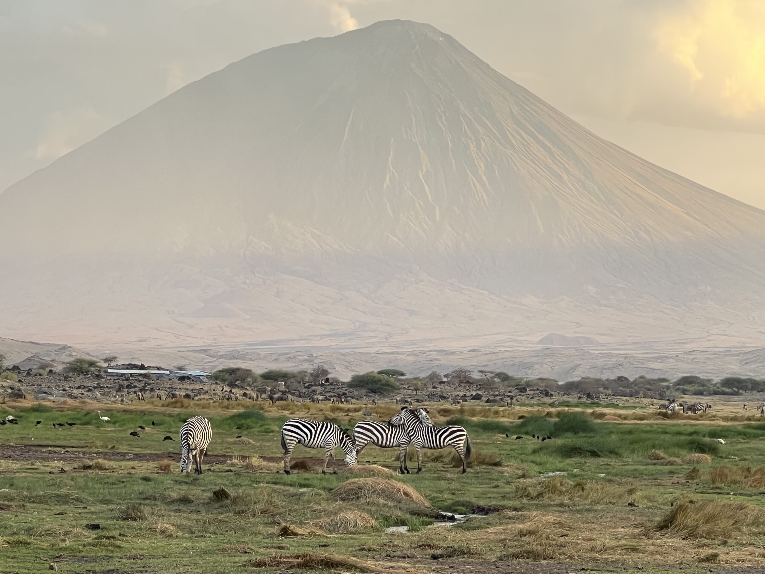 Lake Natron